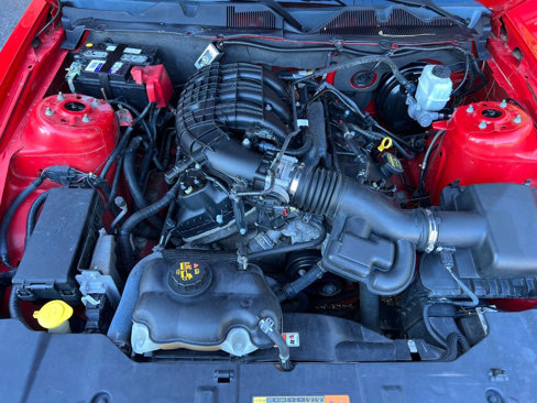 Used 2014 Ford Mustang Coupe w/ Equipment Group 102A image 18