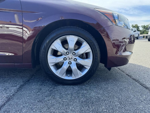 Used 2010 Honda Accord EX-L image 11