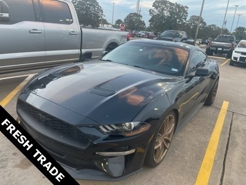 Used 2021 Ford Mustang Coupe w/ Equipment Group 101A image 1