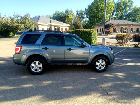 Used 2011 Ford Escape XLT w/ 203A Rapid Spec Order Code image 6