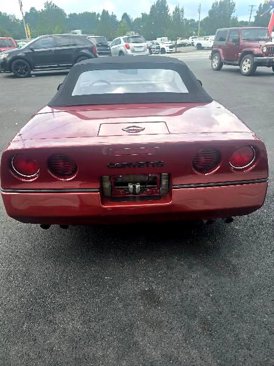 Used 1986 Chevrolet Corvette Convertible image 5