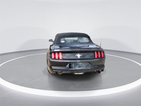 Used 2015 Ford Mustang Convertible w/ Equipment Group 051A image 7