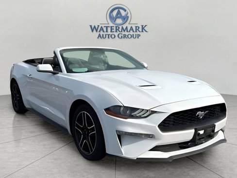 Used 2022 Ford Mustang Premium image 7