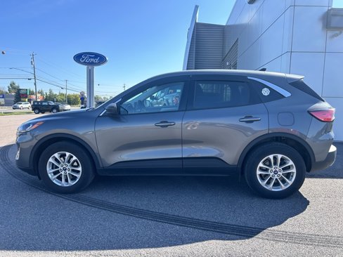 Used 2022 Ford Escape SE w/ Cold Weather Package image 2
