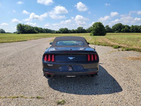 Used 2017 Ford Mustang Premium image 9
