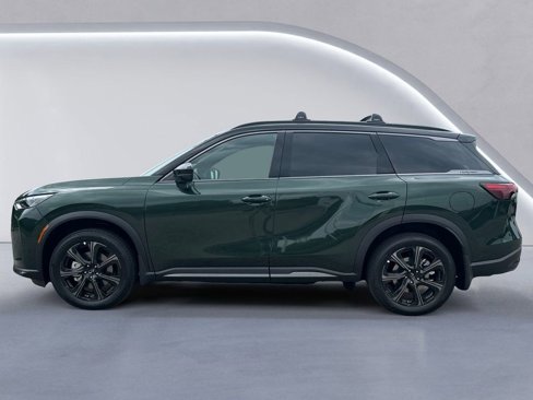 New 2026 INFINITI QX60 Autograph w/ Dark Cargo Package image 6