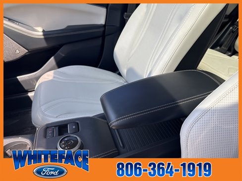 Used 2021 Ford Mustang Mach-E Premium image 49