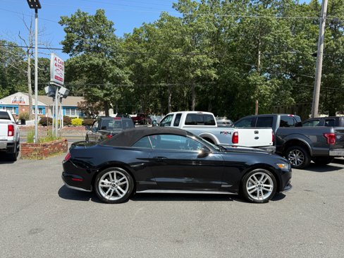 Used 2016 Ford Mustang Premium w/ Equipment Group 201A image 5