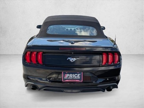 Used 2019 Ford Mustang Premium image 6