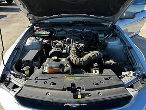 Used 2005 Ford Mustang Coupe image 59