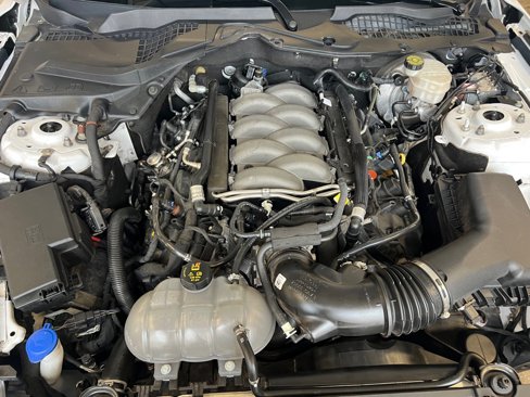 Used 2020 Ford Mustang GT Premium w/ Equipment Group 401A image 8