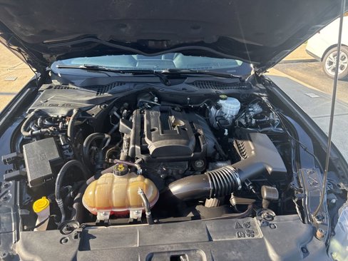 Used 2019 Ford Mustang Coupe w/ Equipment Group 101A image 24
