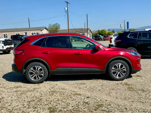 Used 2020 Ford Escape SEL image 6