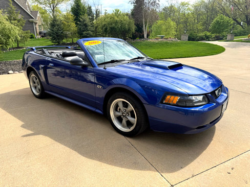 Used 2002 Ford Mustang GT image 8