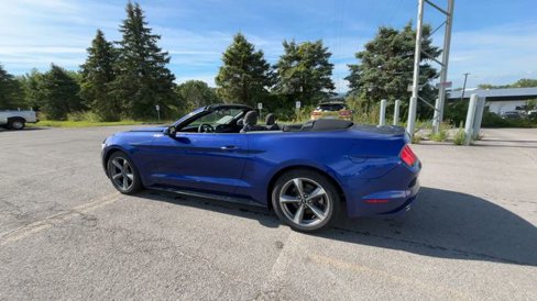 Used 2015 Ford Mustang Convertible w/ Equipment Group 051A image 7