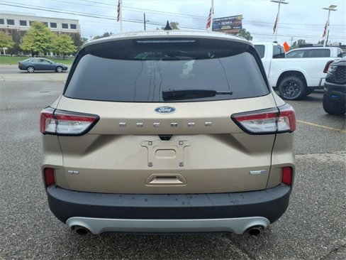 Used 2020 Ford Escape SE image 6