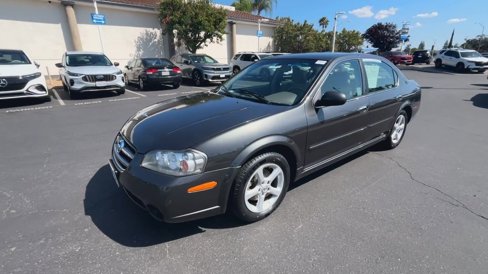 Used 2003 Nissan Maxima GXE image 4