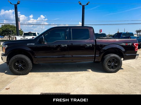 Used 2019 Ford F150 XLT image 5