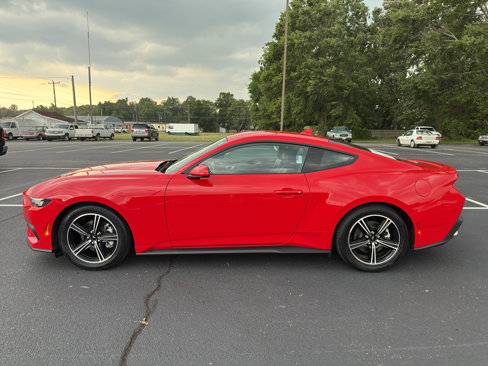 Used 2024 Ford Mustang Premium image 11