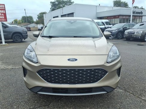 Used 2020 Ford Escape SE image 2