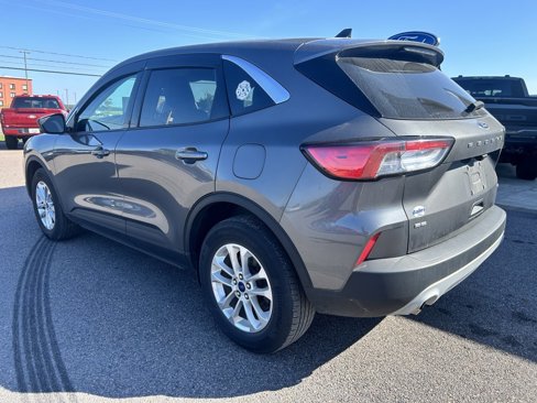 Used 2022 Ford Escape SE w/ Cold Weather Package image 3