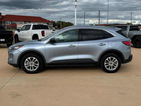 Used 2022 Ford Escape SE image 3