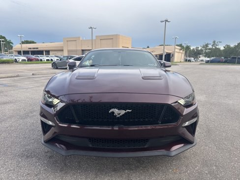 Used 2018 Ford Mustang GT w/ Equipment Group 301A image 3
