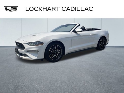 Used 2023 Ford Mustang Premium image 4