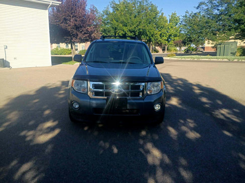 Used 2011 Ford Escape XLT w/ 203A Rapid Spec Order Code image 8
