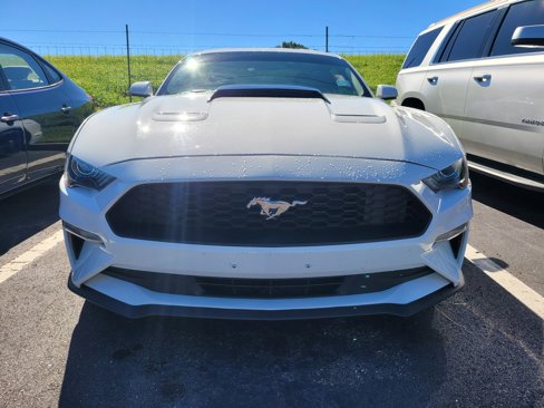 Used 2019 Ford Mustang Coupe image 2