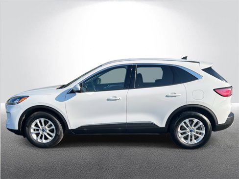 Used 2020 Ford Escape SE image 3