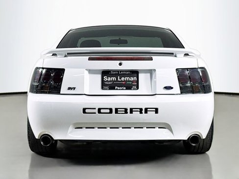 Used 2001 Ford Mustang Cobra image 6