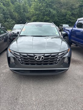 Used 2024 Hyundai Tucson Blue image 2