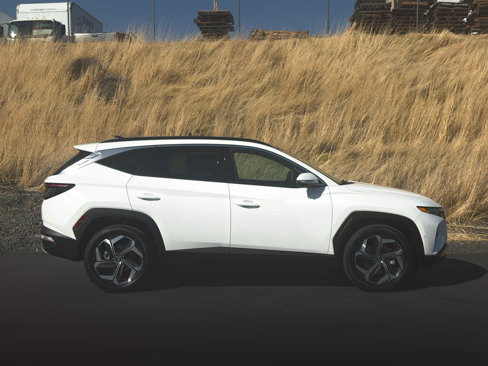 Used 2023 Hyundai Tucson Limited image 2