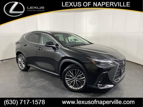 Certified 2024 Lexus NX 350 AWD w/ Luxury Package image 1