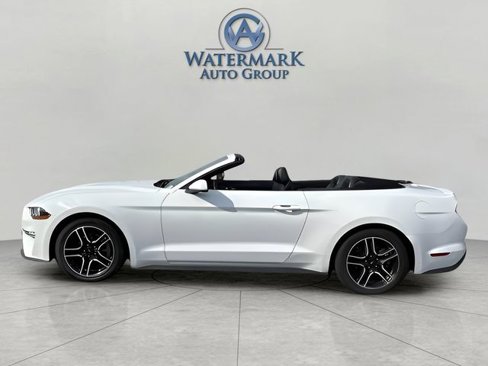 Used 2022 Ford Mustang Premium image 2