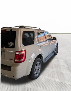 Used 2011 Ford Escape Limited w/ 302A Rapid Spec Order Code image 4