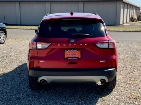 Used 2020 Ford Escape SEL image 4