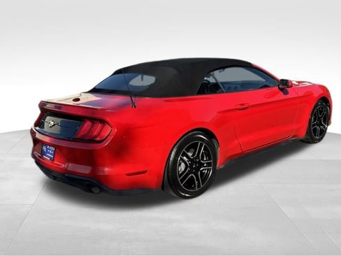 Used 2019 Ford Mustang Premium image 12