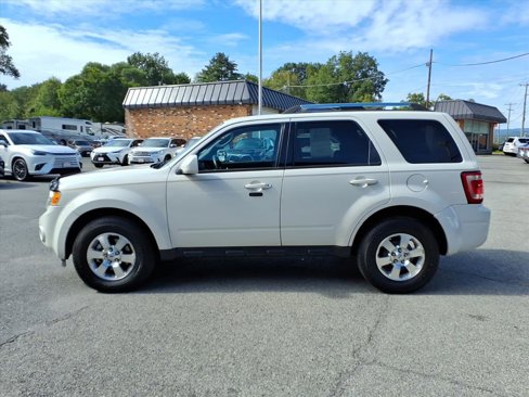 Used 2011 Ford Escape Limited image 5