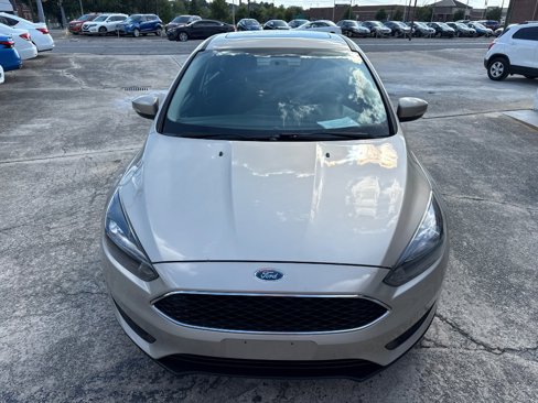 Used 2017 Ford Focus SEL w/ Interior Protection Package image 5