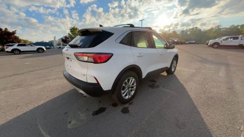 Used 2020 Ford Escape SE image 10