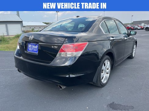 Used 2010 Honda Accord EX-L image 4