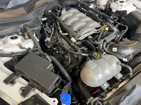 Used 2020 Ford Mustang GT Premium w/ Equipment Group 401A image 9