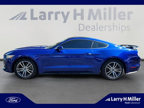 Used 2016 Ford Mustang Premium w/ Equipment Group 201A image 2