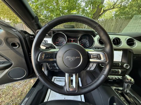 Used 2016 Ford Mustang Premium w/ Equipment Group 201A image 15