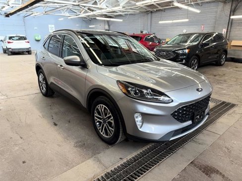 Certified 2022 Ford Escape SEL image 7