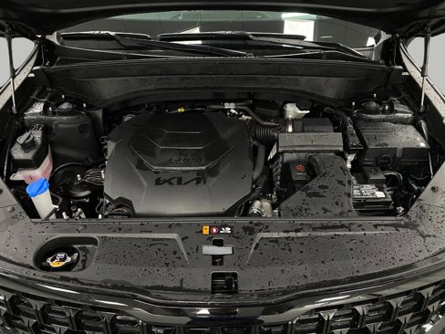 Used 2024 Kia Telluride SX Prestige X-Pro image 12