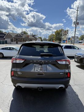 Used 2020 Ford Escape SEL image 7