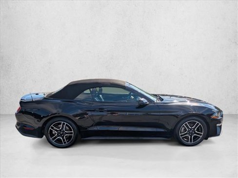 Used 2019 Ford Mustang Premium image 4